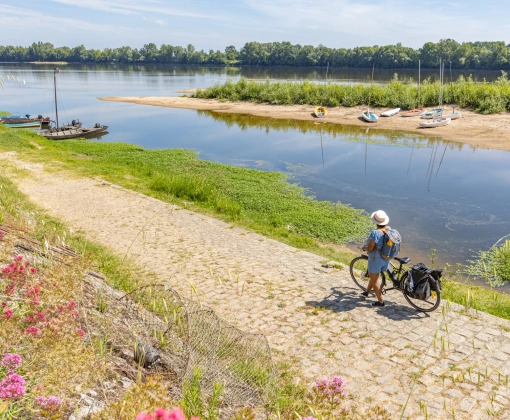 Camping du Lion d'Angers