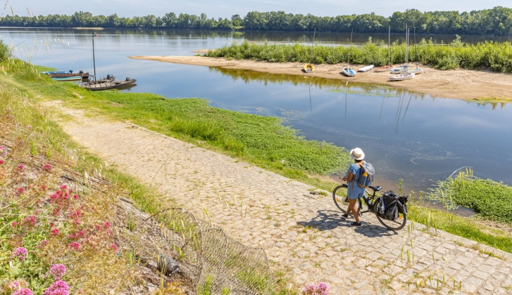 Camping du Lion d'Angers