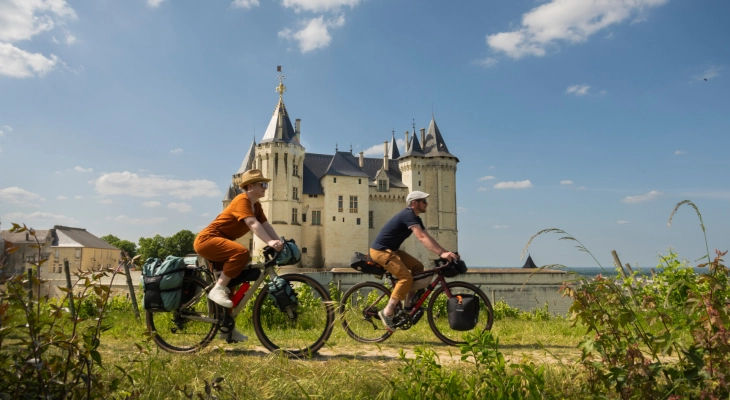 Camping du Lion d'Angers