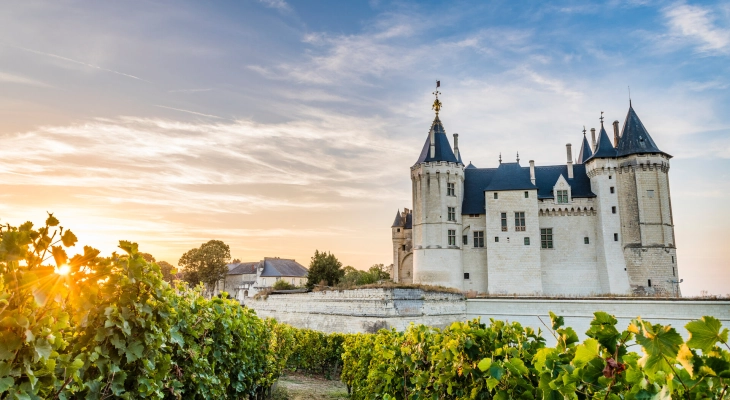 Camping du Lion d'Angers