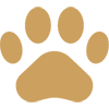 Icone animal