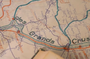 La Route des grands crus de Bourgogne